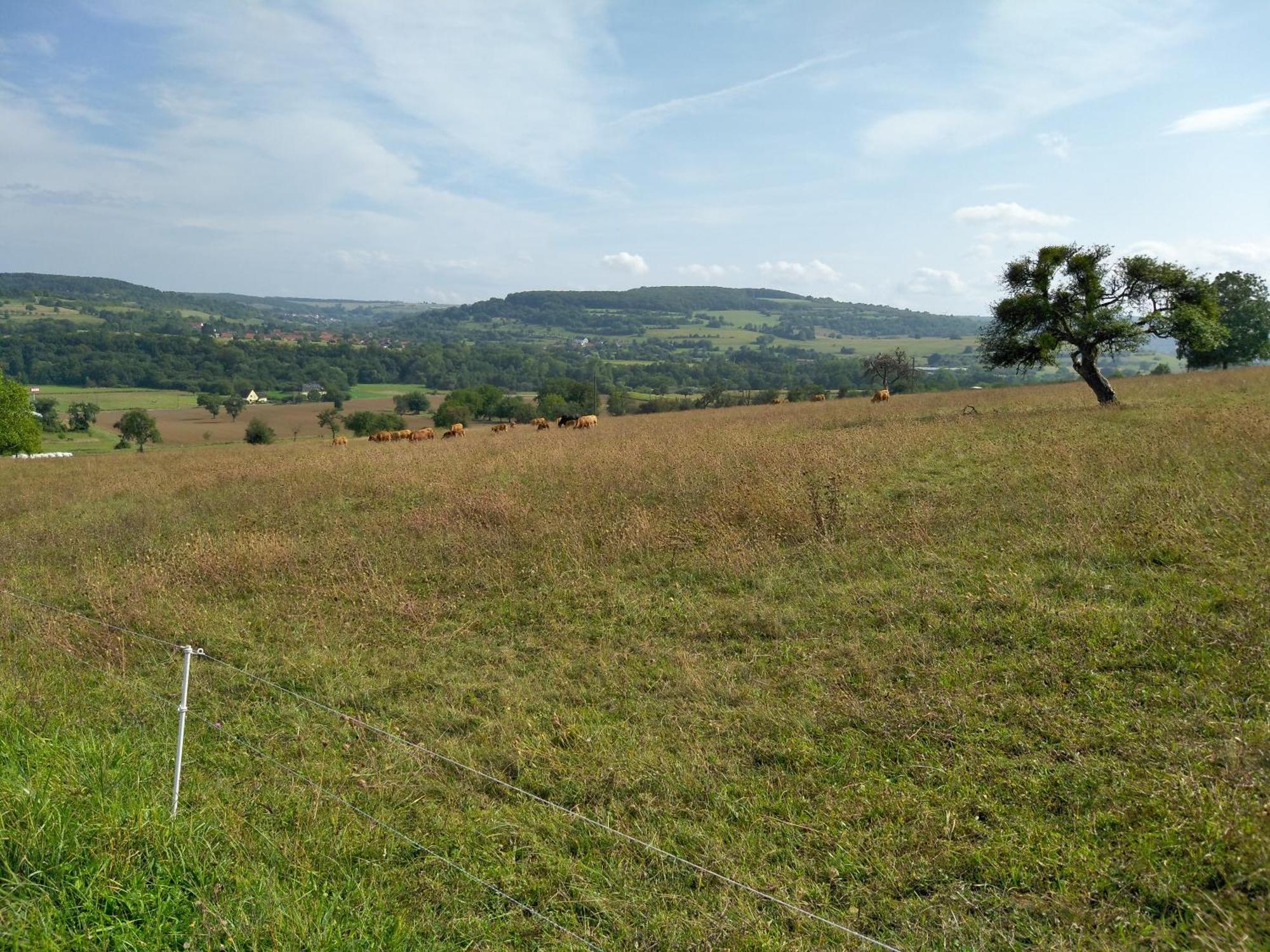 Camping Walsheim Gersheim Экстерьер фото